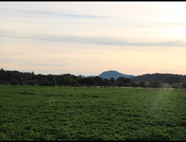 1,848HA FARM FOR SALE IN MIDDELBURG RURAL